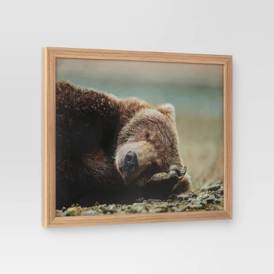 20" X 16" Bear Photography Framed Art Brown - Threshold™ - Image 2